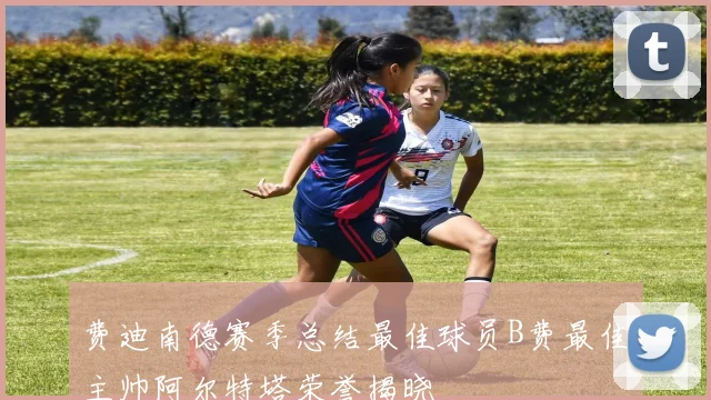 费迪南德赛季总结最佳球员B费最佳主帅阿尔特塔荣誉揭晓