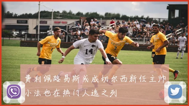 费利佩路易斯或成切尔西新任主帅小法也在热门人选之列